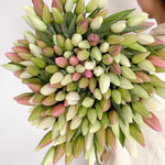 200 tulips bouquet - perfect for parties, weddings, proposals, anniversary.