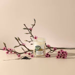 Sakura Garden Soy Candle by Coralbel. Premium 100% soy wax candles made in Sydney.