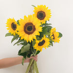 Beautiful Single Variety Flower bouquets with sunflowers. Free flower delivery Sydney. Sydney Florist. Bouqie Flower subscription. 