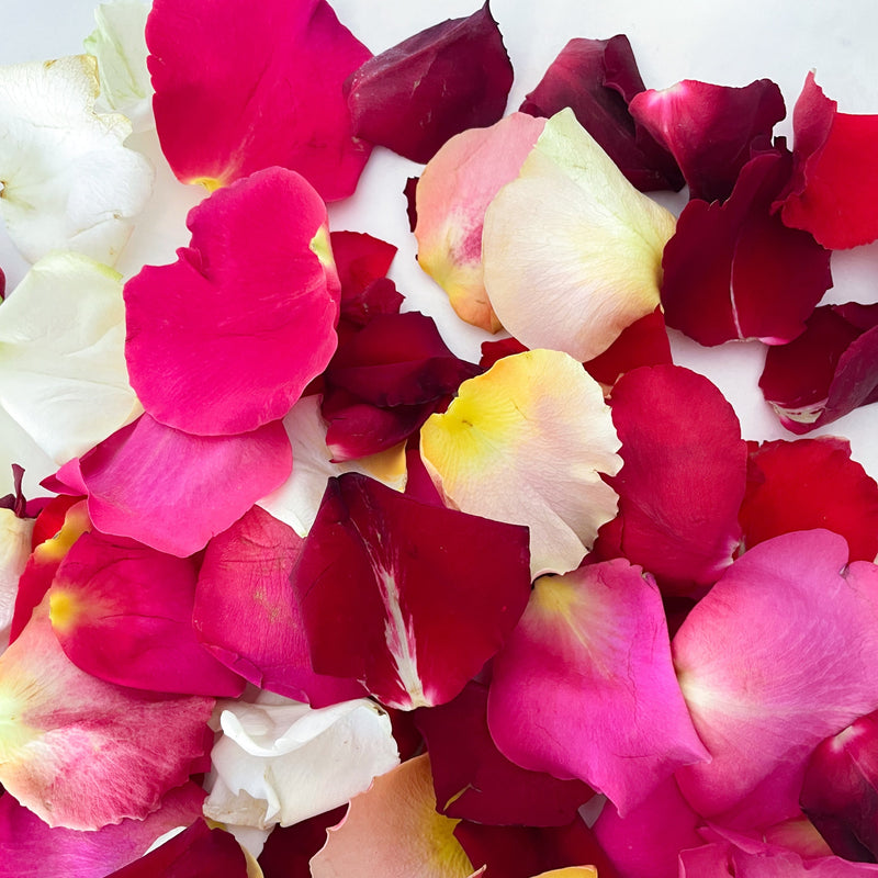 mixed colours rose petals