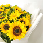 Beautiful Single Variety Flower bouquets with sunflowers. Free flower delivery Sydney. Sydney Florist. Bouqie Flower subscription. 